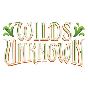 Disney Lorcana Wilds Unknown